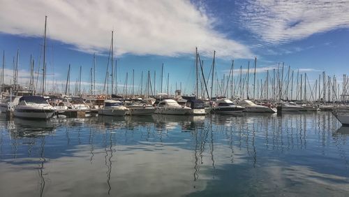 Boats moored in harbor