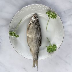 High angle view of fish in plate