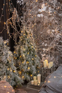 Close-up of illuminated christmas tree at night