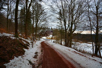 Road amidst bare trees