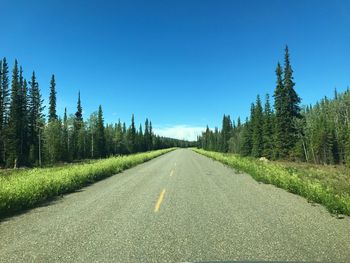 Empty road amidst trees against clear blue sky