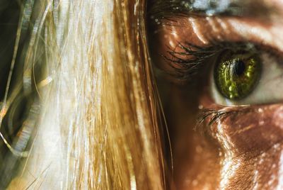 Close-up of woman eye