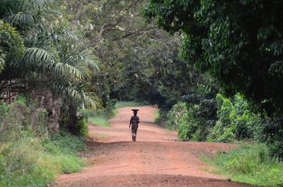 Rear view of person walking on road amidst trees