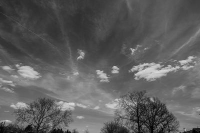 Low angle view of tree against cloudy sky