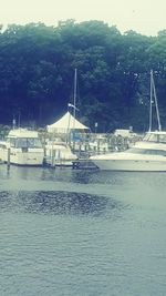 Boats moored at harbor