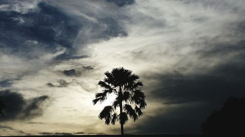 Low angle view of silhouette tree against storm clouds