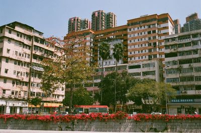 Spring in hong kong