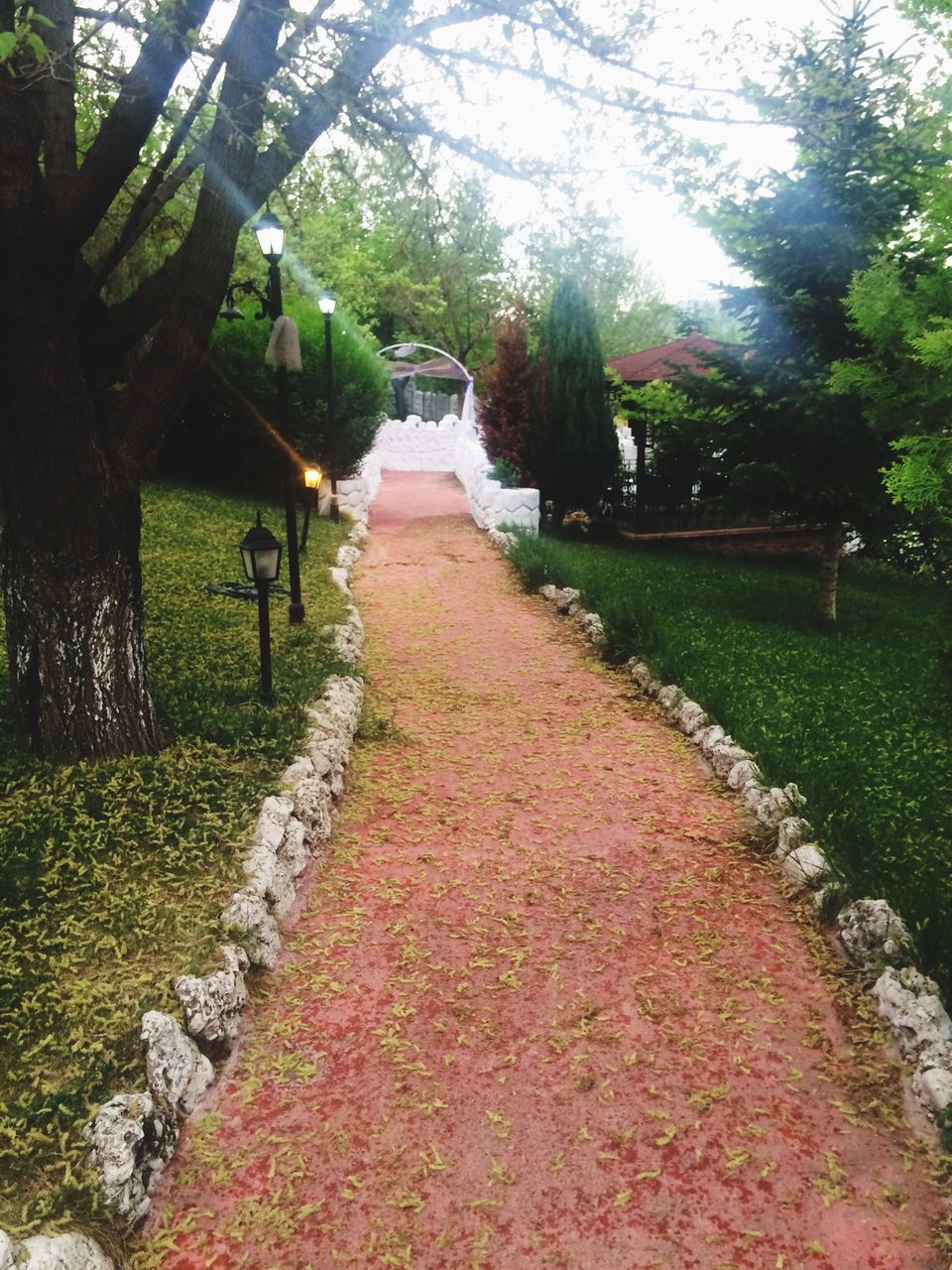 the way forward, tree, footpath, grass, diminishing perspective, walkway, growth, pathway, park - man made space, nature, built structure, tranquility, vanishing point, water, green color, plant, architecture, narrow, building exterior, day