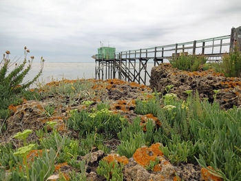 Fisherman's cabin 