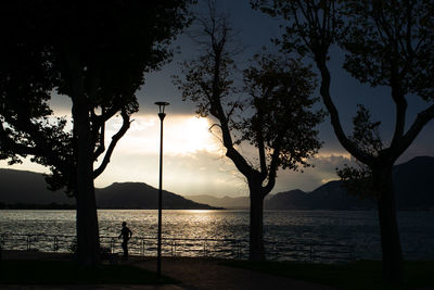 Silhouette trees by sea against sky during sunset