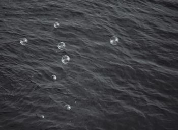 High angle view of bubbles floating in sea