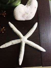 Close-up of christmas tree