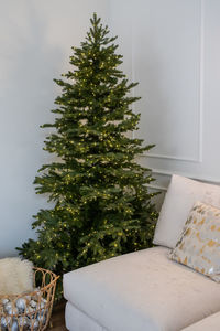 Illuminated christmas tree