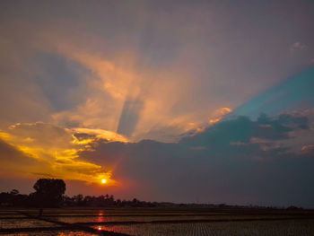 Scenic view of field against sky during sunset