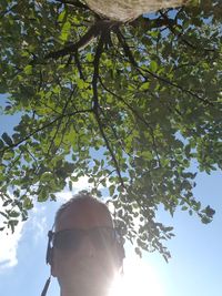 Low angle view of tree against sky