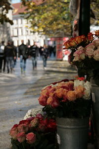 Close-up of rose bouquet in market