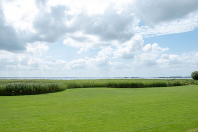 Scenic view of field against sky