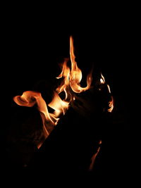 Close-up of fire in the dark