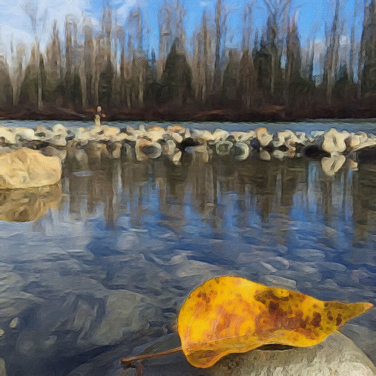 water, reflection, tranquility, lake, tree, tranquil scene, nature, beauty in nature, scenics, rock - object, autumn, river, outdoors, idyllic, day, season, change, no people, pond, non-urban scene