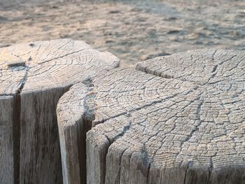 Close-up of tree stump on sand