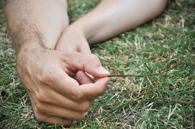 Close-up of man holding grass