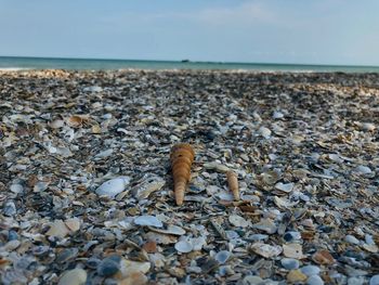 Surface level of pebble on beach