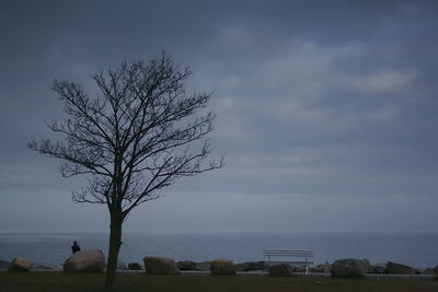 Scenic view of landscape against cloudy sky