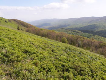 Scenic view of landscape against sky