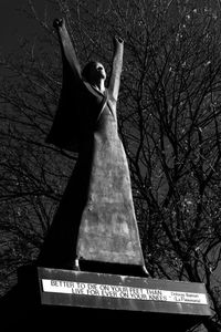 Man feeding on bare tree