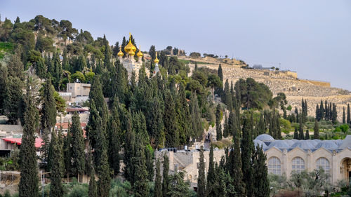 A golden topped russian orthodox church, located on the mount of olives, east jerusalem, israel.