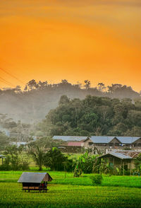 Scenic view of field against sky during sunset