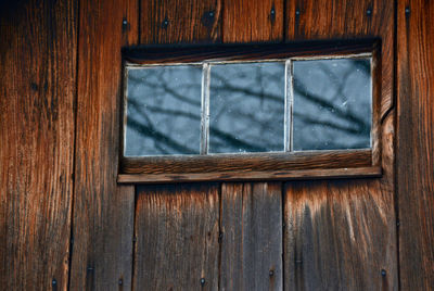 Close-up of window reflecting bare trees in new england winter