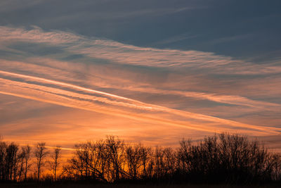 Silhouette trees on field against romantic sky at sunset