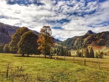 Scenic view of field against sky