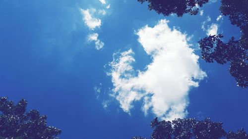 Low angle view of trees against blue sky