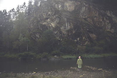 Rear view of woman standing by trees in forest