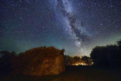 Trees against sky at night