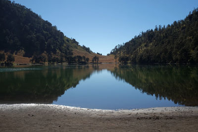 Scenic view of lake by trees against clear sky