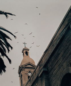 Low angle view of birds flying against sky