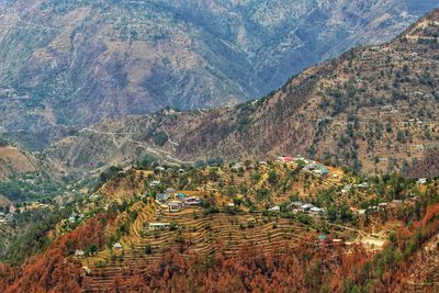 High angle view of agricultural landscape