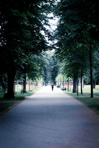 Rear view of person walking on footpath amidst trees