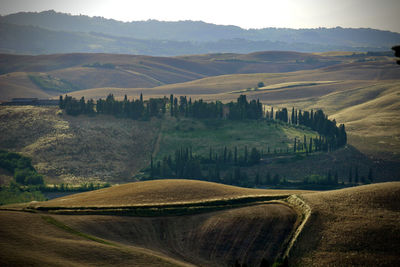 Scenic view of agricultural field against sky in tuscany