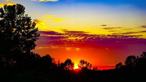 Silhouette trees against dramatic sky during sunset