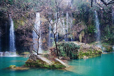 Scenic view of waterfall in forest