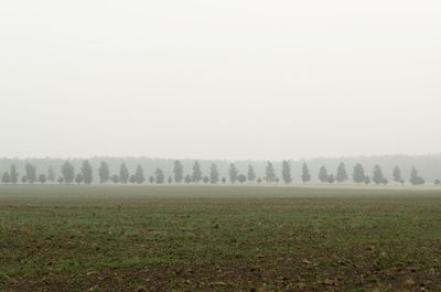 Scenic view of field against sky during foggy weather