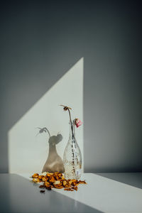 View of dragon on table against white wall