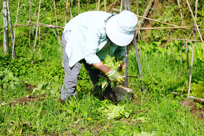 Man working in farm