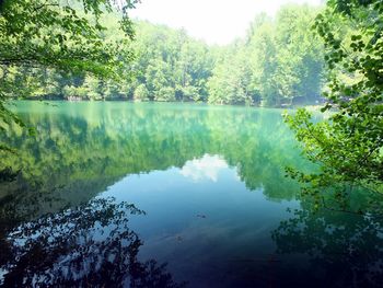 Scenic view of lake by trees against sky