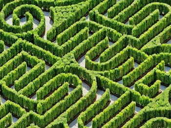 High angle view of plant maze