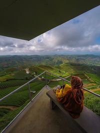 Rear view of man sitting on railing